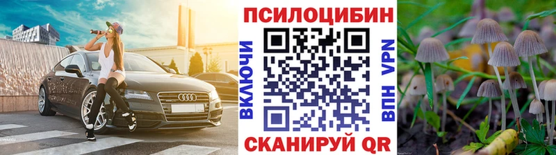 Псилоцибиновые грибы Cubensis  Купить  Удачный 